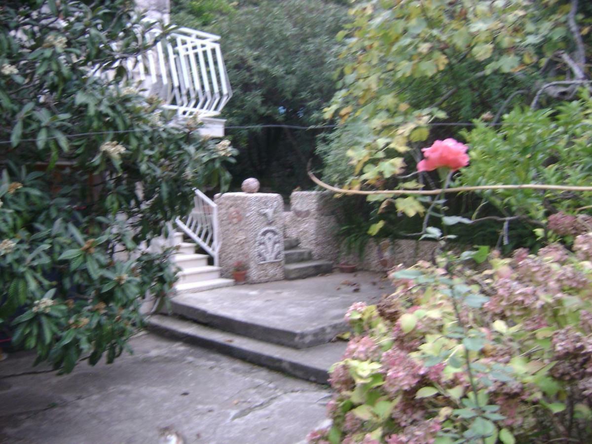 Villa Andro Cavtat Esterno foto