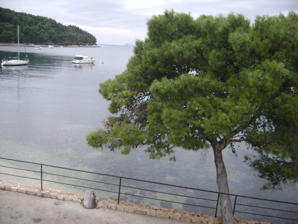 Villa Andro Cavtat Esterno foto